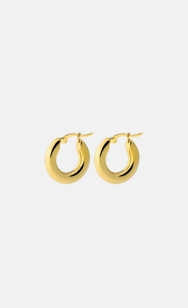 Small Hoop Earring