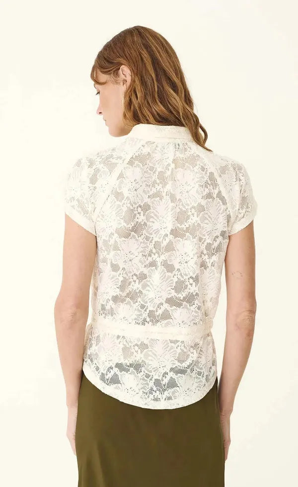 Allie Lace Peplum