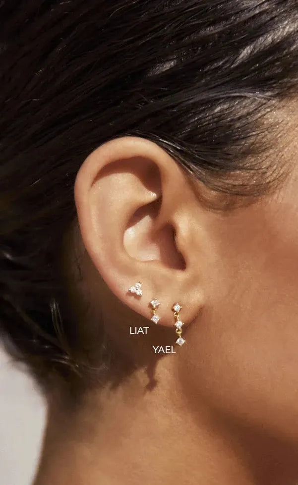 Yael Gold Earrings