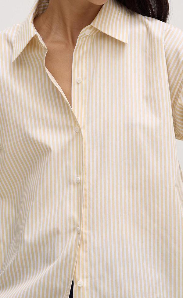 Poplin Shirt - Chamomile/white